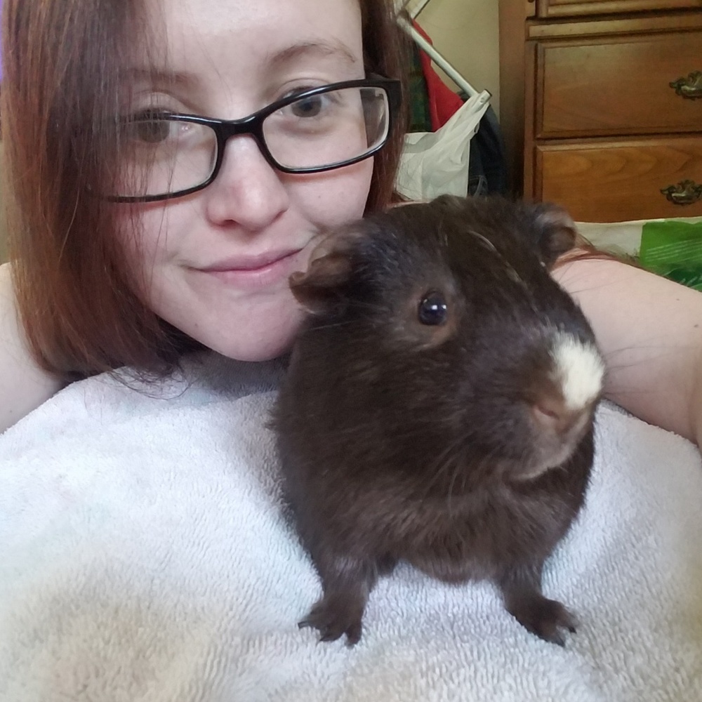 Meet your Posher, Rhiannon